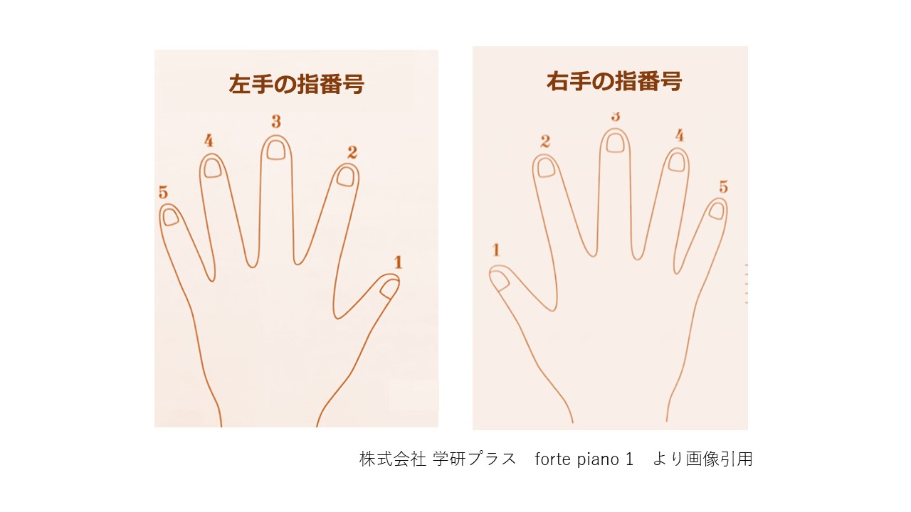 東京のピアノ教室｜東京ルクスピアノ教室｜ピアノ講師ブログ　指番号の画像